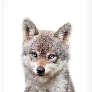 Meet your Posher, Stella